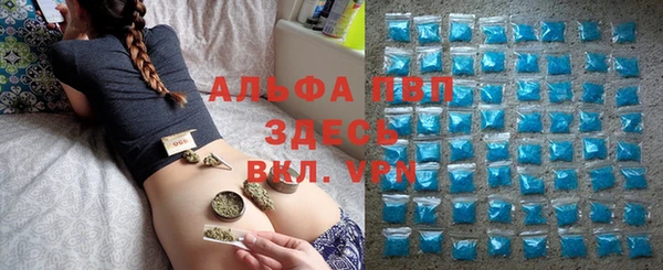 винт Дмитров