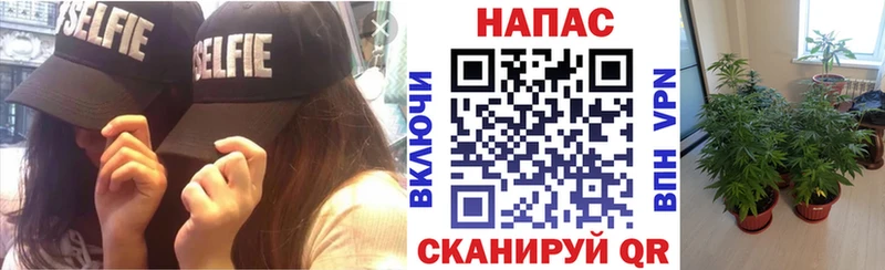 Бошки Шишки марихуана дарк нет как зайти Ишимбай